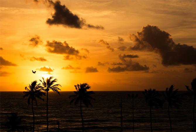 About Alagoas