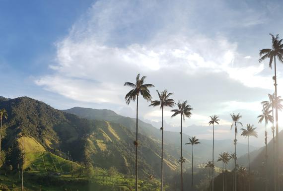 Armenia, Colombia