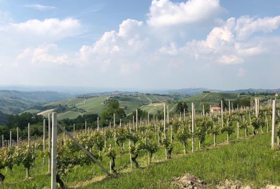 Piedmont, Italia