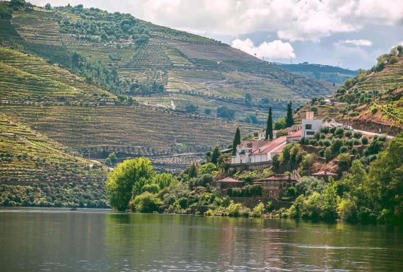 Douro Valley, Portugal