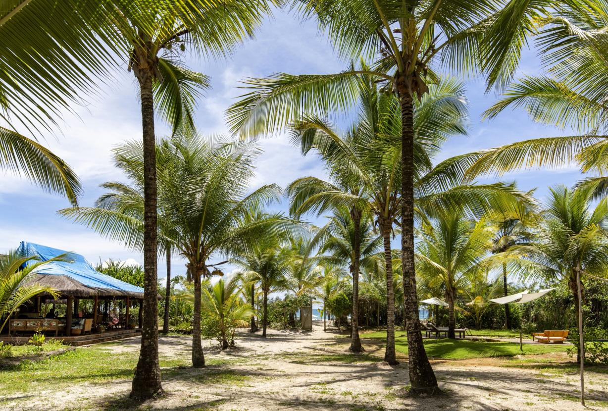 Bah701 - Beach house in Itacare