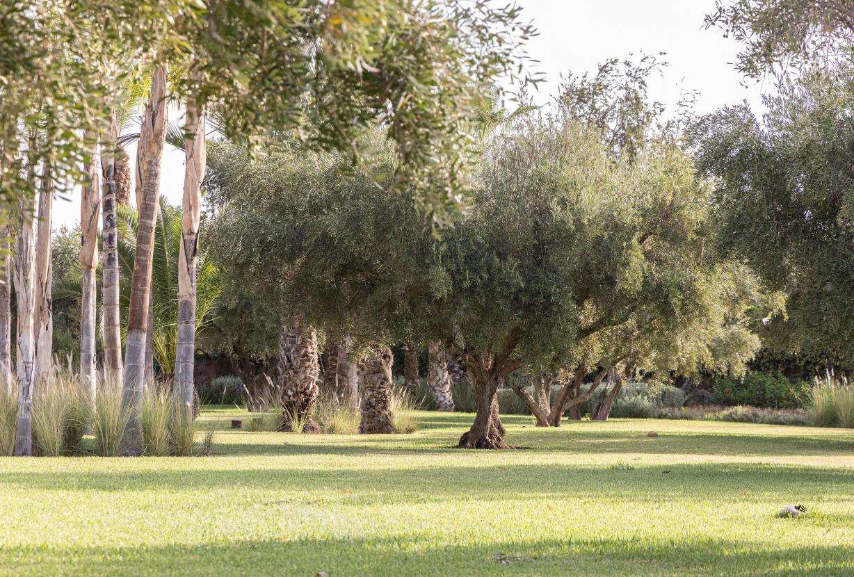 Mrk002 - Villa encantadora en Marrakech
