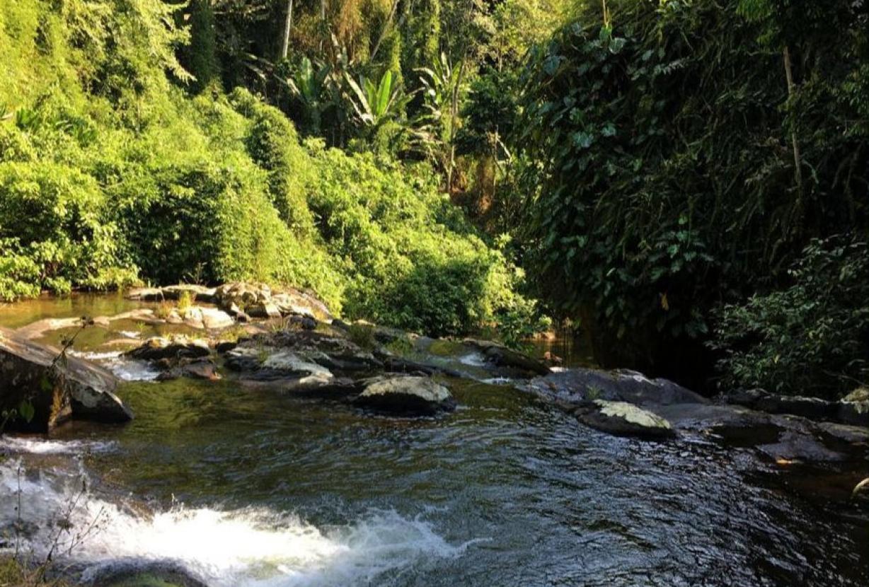 Pty012 -  Aconchegante sítio junto à natureza em Paraty