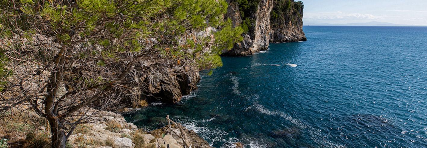 Campania
